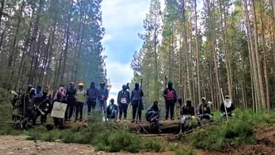 Las comunidades solicitaron que Cartón de Colombia oferte sus predios al Gobierno Nacional . Foto: Cortesía