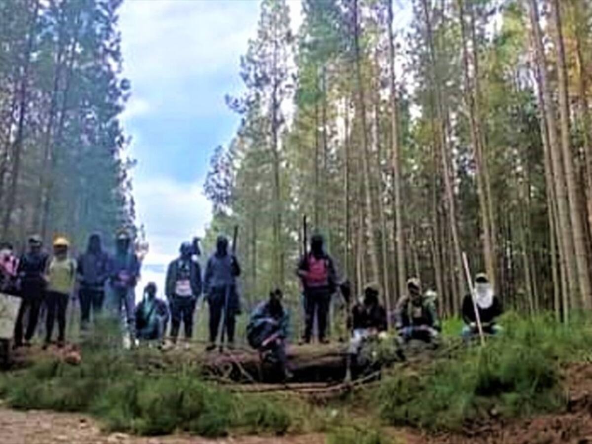 Campesinos e indígenas reclaman “tierras ancestrales” en Cajibío, Cauca