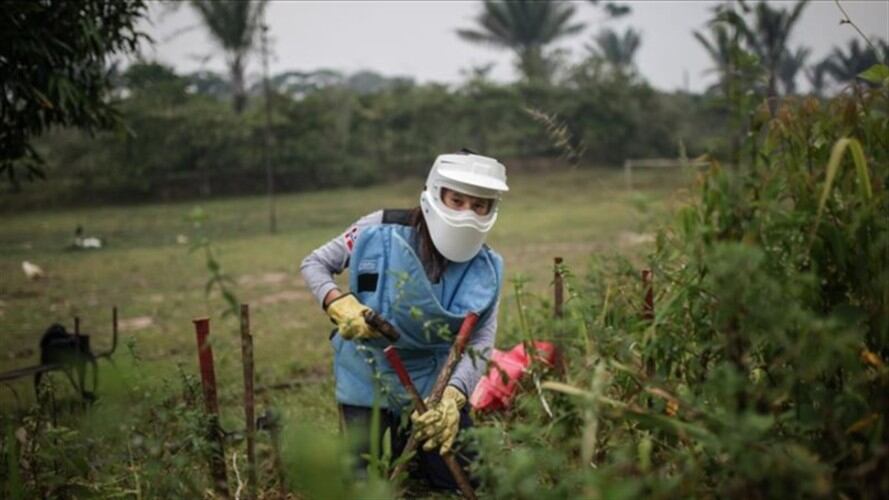 Un día de trabajo de las mujeres desminadoras en Caquetá, Colombia. Foto: Agencia Anadolu