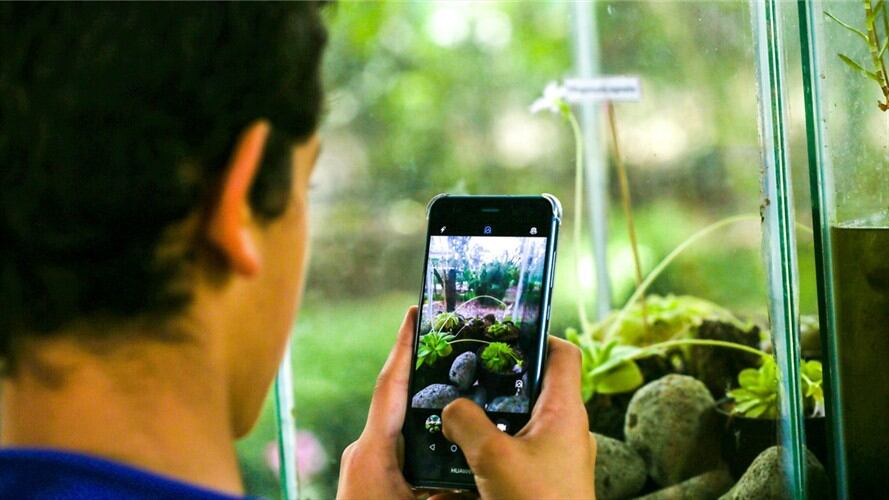Vuelve la exposición de Plantas Carnívoras al Jardín Botánico de Bogotá. Foto: Jardín Botánico