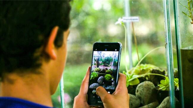 Vuelve la exposición de Plantas Carnívoras al Jardín Botánico de Bogotá. Foto: Jardín Botánico