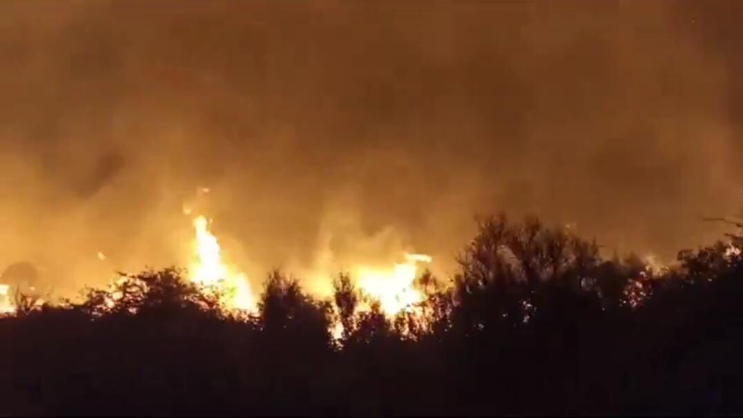 El incendio forestal en el municipio de Corrales, vereda Modecá, se pudo controlar ocho días después de su inicio / Foto: Suministrada.