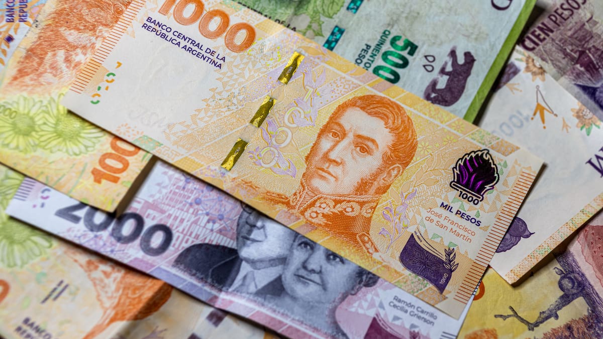 Peso argentino fue la moneda que más subió en 2024