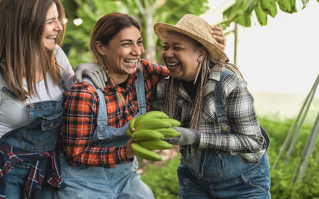 Bolívar, educando de manera creativa en la actividad agroindustrial