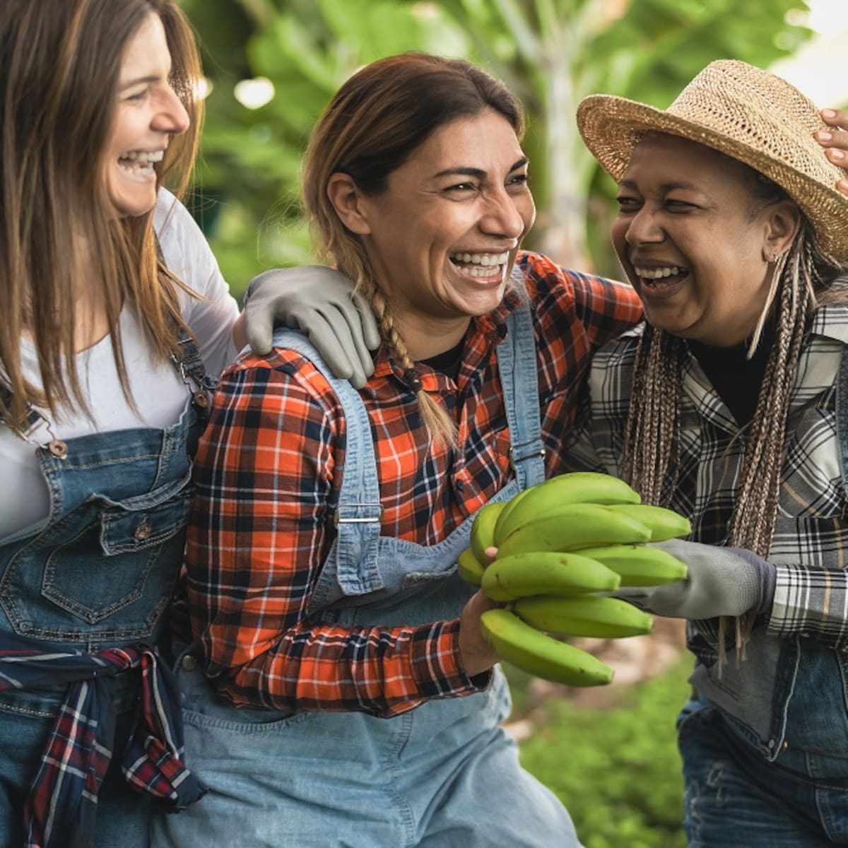 Bolívar, educando de manera creativa en la actividad agroindustrial