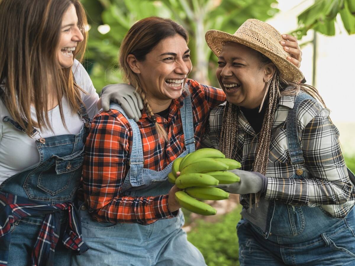 Bolívar, educando de manera creativa en la actividad agroindustrial