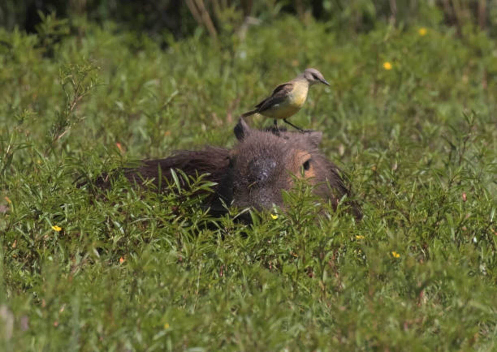 Imagen de referencia/ Getty Images