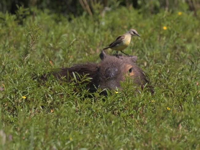 Imagen de referencia/ Getty Images