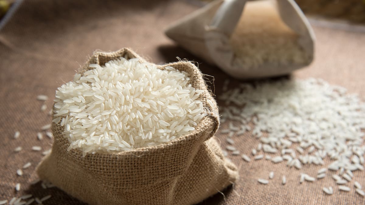Arroceros se reunirán con MinAgricultura para buscar soluciones ante bajos precios