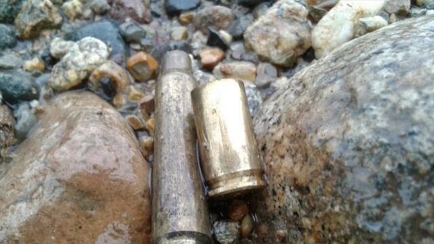 Mandataria confirmó las denuncias ciudadanas. Foto: Colprensa