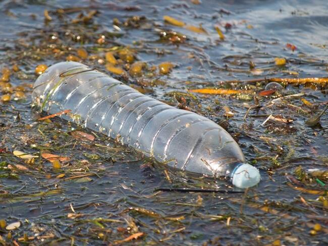En el mar flotan actualmente más de cinco billones de trozos de plástico y las previsiones apuntan a que los residuos aumentarán hasta 10 veces en la próxima década. Foto: Getty Images