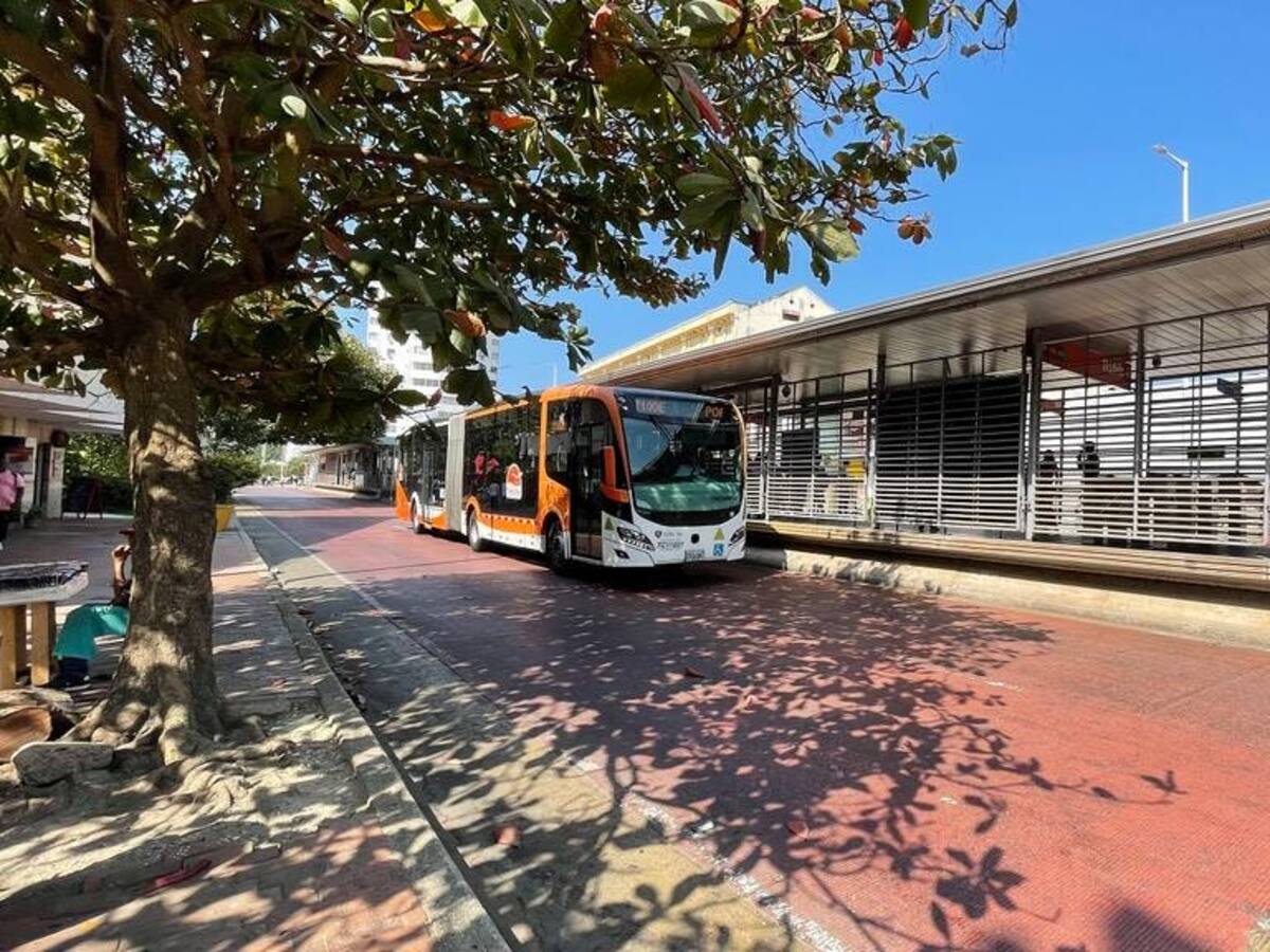 Con nueva gerencia, Transcaribe fortalecerá la flota con infraestructura y seguridad