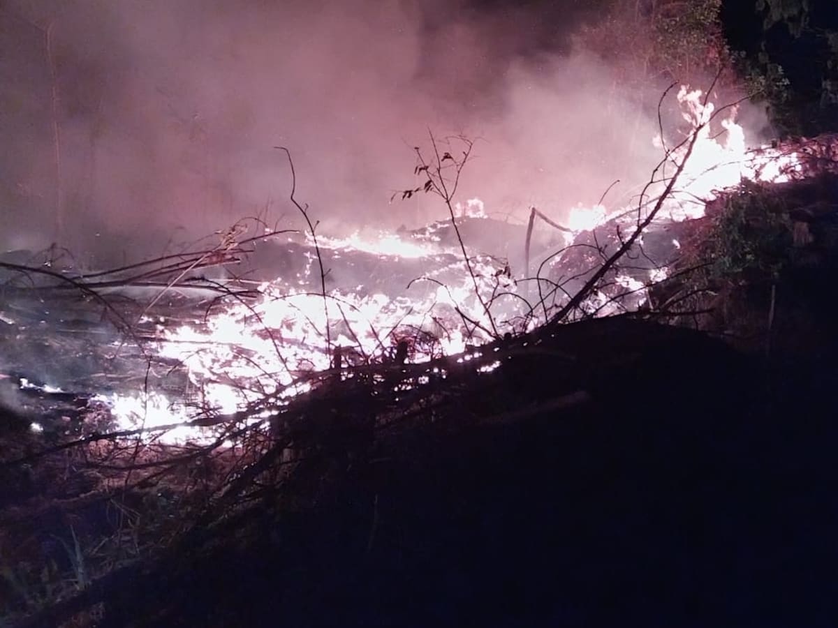 Incendio consume más de 20 hectáreas de reserva natural en el Cauca