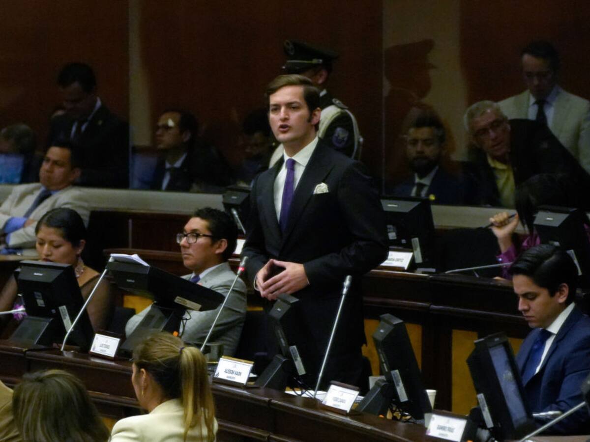 Viceministro de Ecuador asegura que oposición busca destituir a Noboa por incapacidad mental