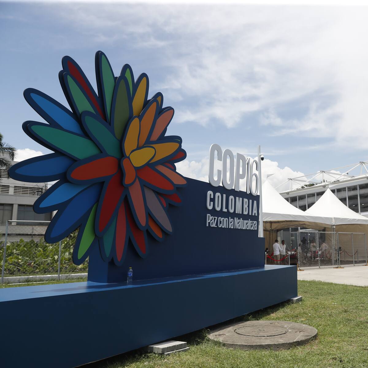 ¿Qué significa la sigla COP16?