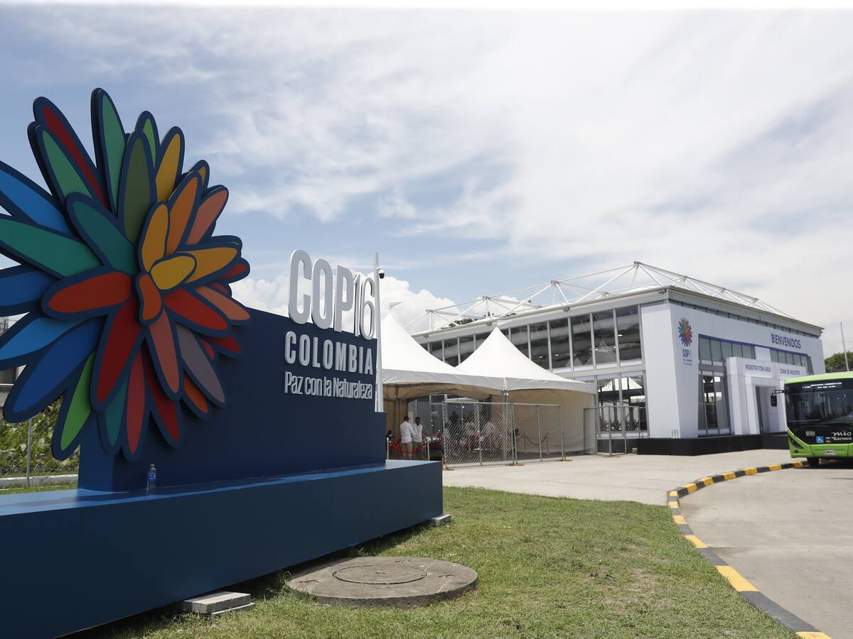 Día cívico en Cali por llegada del presidente a la COP16