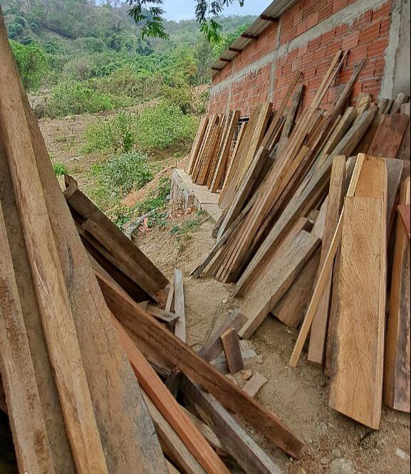 Madera decomisada/ Corpamag