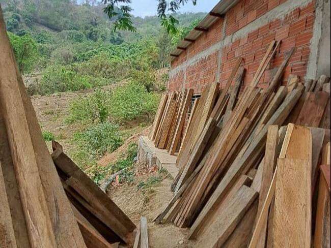 Madera decomisada/ Corpamag