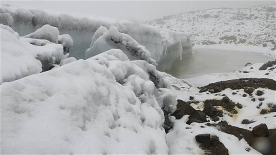 Según las autoridades este fenómeno no se presentaba desde hace 40 años.. Foto: La W