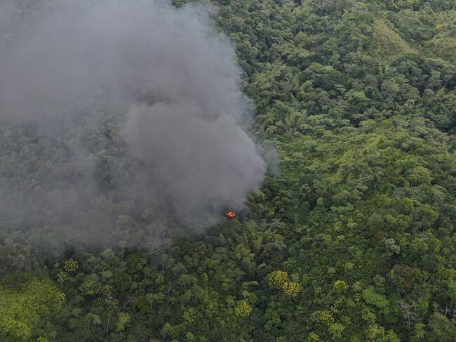 Incautación de cocaína del Clan del Golfo. Foto: cortesía Fuerzas Militares.