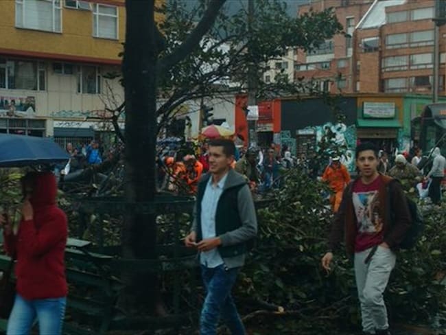 Caída de árbol en la Avenida Caracas. Foto: @INGReYble (Twitter)