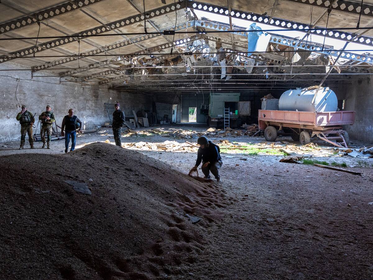 Rusia niega causar crisis alimentaria y dice que Ucrania puede exportar a Polonia