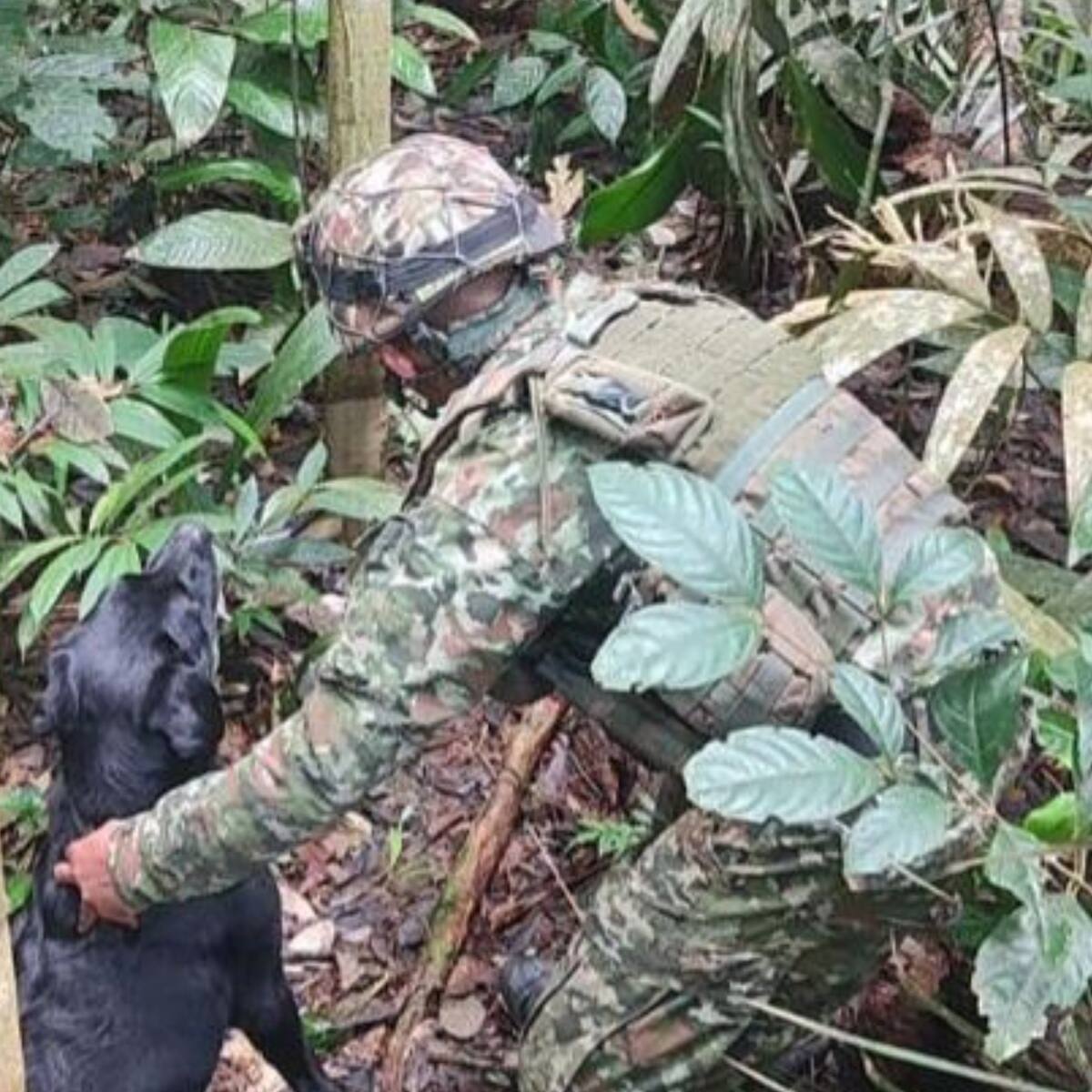 Ejército neutraliza mina antipersona cerca de comunidad indígena en Vaupés