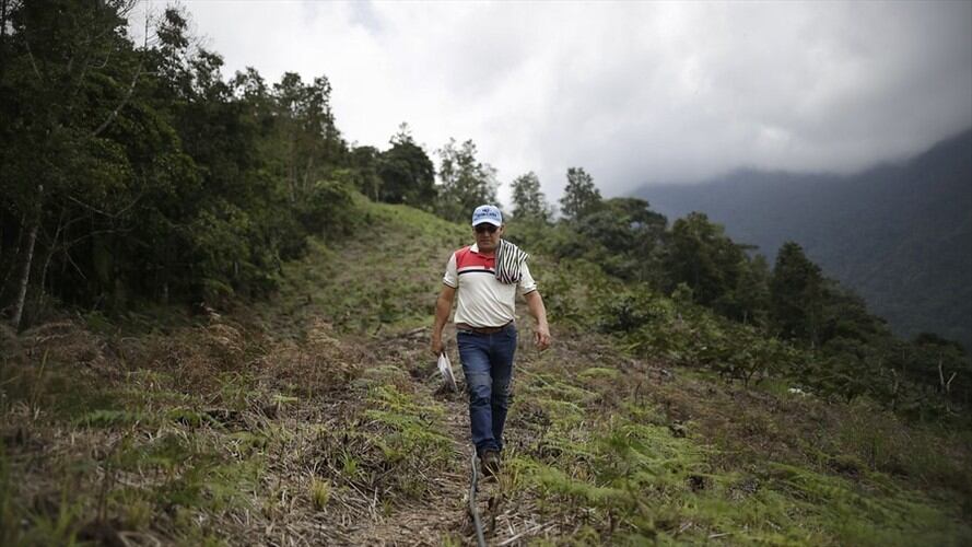 Imagen de referencia. Foto: Colprensa-Sergio Acero
