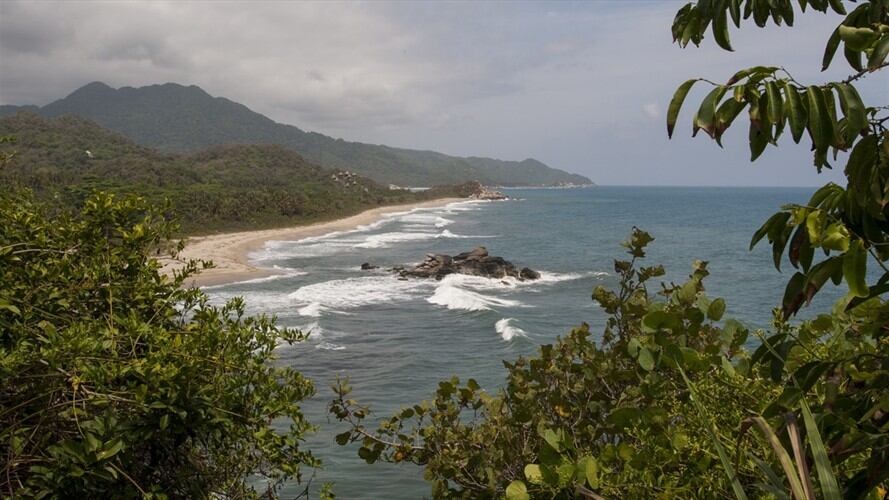 Luz Elvira Angarita, directora territorial de Parques Nacionales, estaba evitando la retoma del Parque Nacional Natural Tayrona. Foto: Getty Images / WOLFGANG KAEHLER