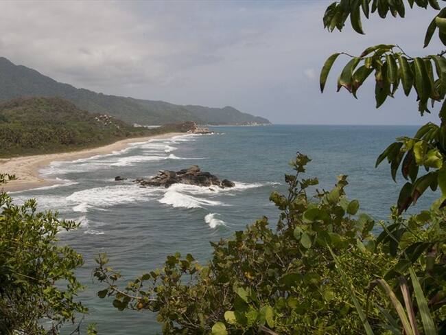 Luz Elvira Angarita, directora territorial de Parques Nacionales, estaba evitando la retoma del Parque Nacional Natural Tayrona. Foto: Getty Images / WOLFGANG KAEHLER