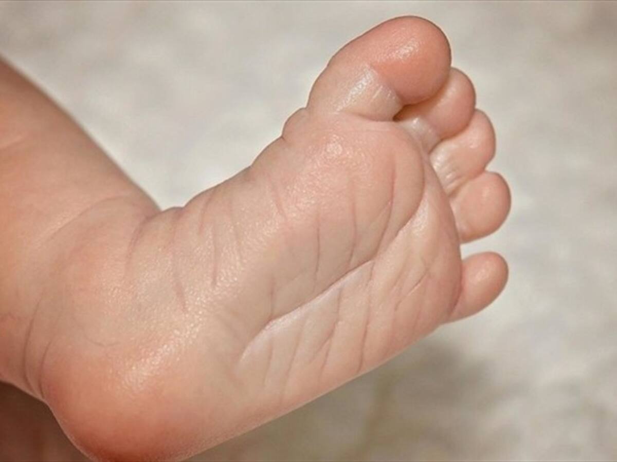 OMS alerta sobre alta concentración de azúcar en alimentos para bebés