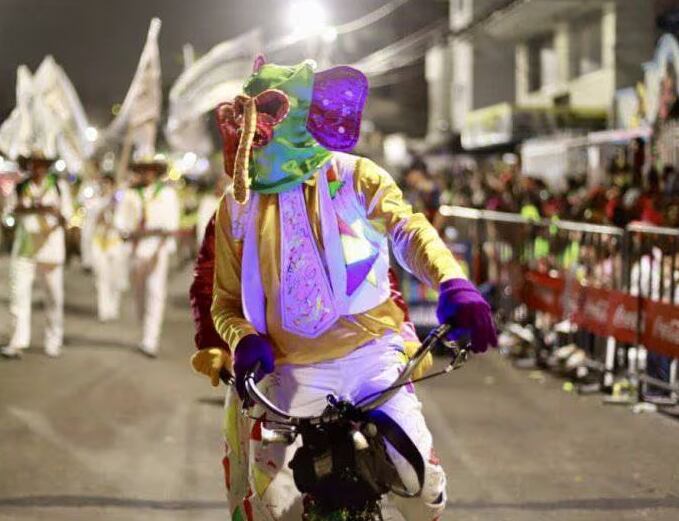 ARCHIVO/ Marimondas durante desfile de Guacherna (Cortesía)