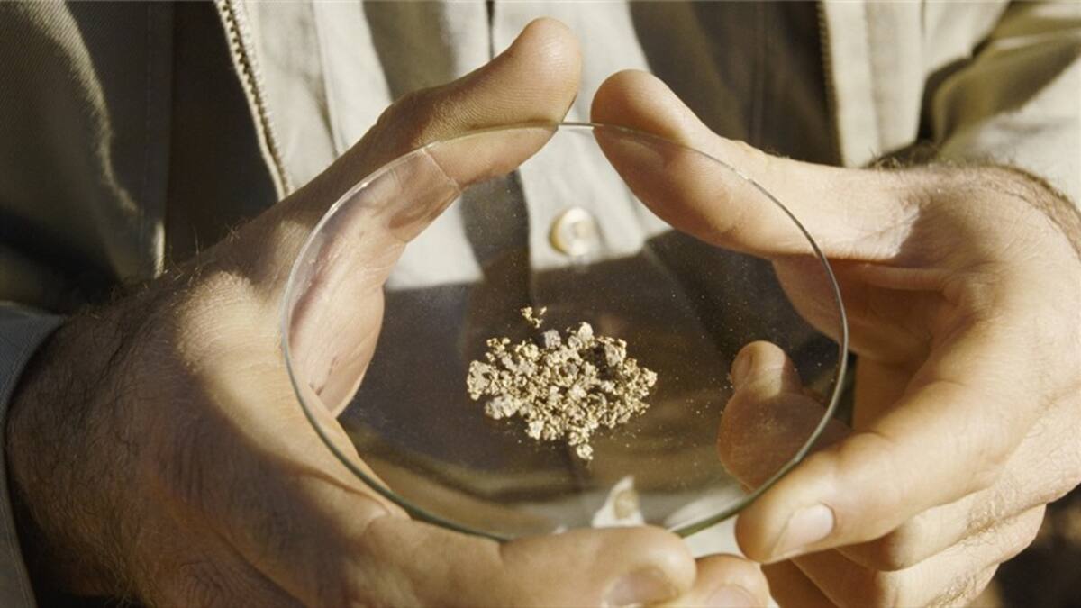 El 85% del oro que exporta Colombia es producto de la minería ilegal: Contraloría