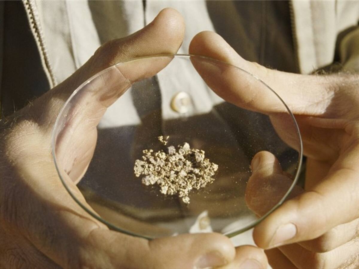 El 85% del oro que exporta Colombia es producto de la minería ilegal: Contraloría