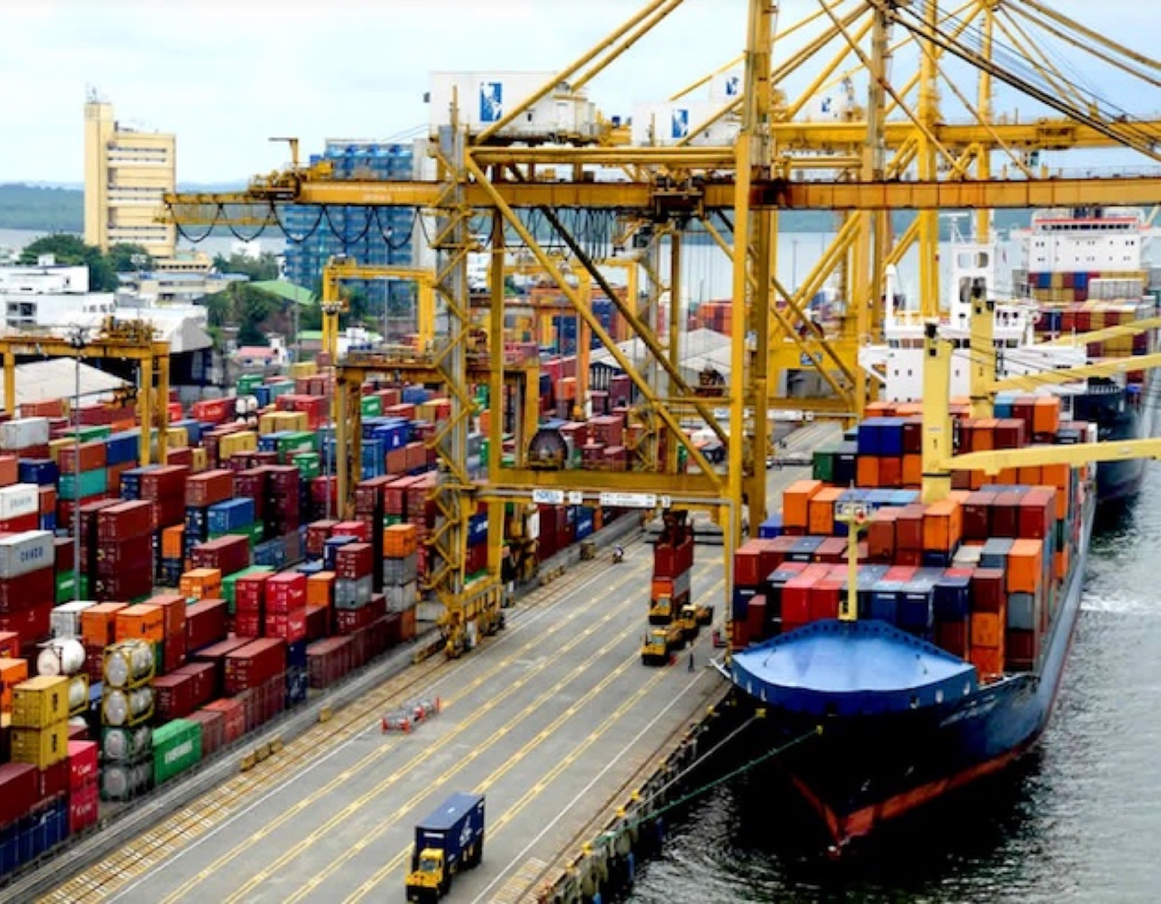 “Los vehículos no tienen dónde descargar”: presidenta de Colfecar sobre puerto de Buenaventura