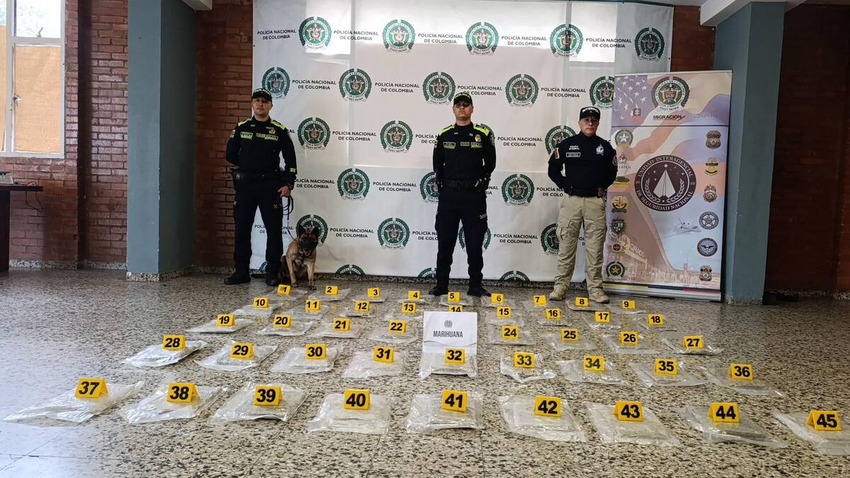 Autoridades de El Dorado frustraron envío de más de 20 kilos de marihuana ocultos en una cama