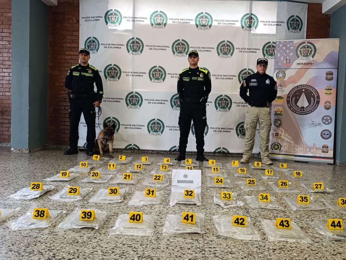 Autoridades de El Dorado frustraron envío de más de 20 kilos de marihuana ocultos en una cama