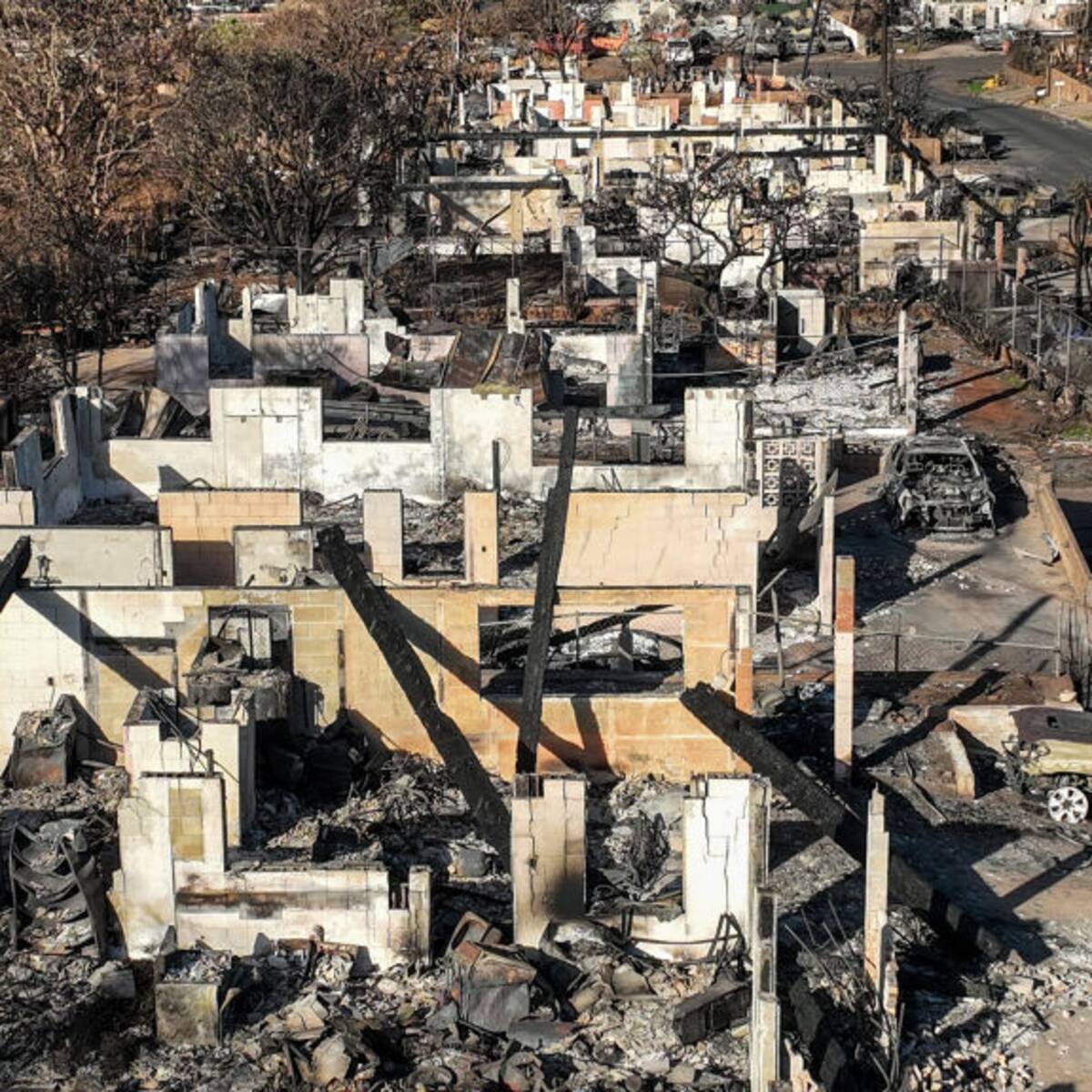 Incendios en Maui no han permitido acceso de los cuerpos de rescate a todo el territorio