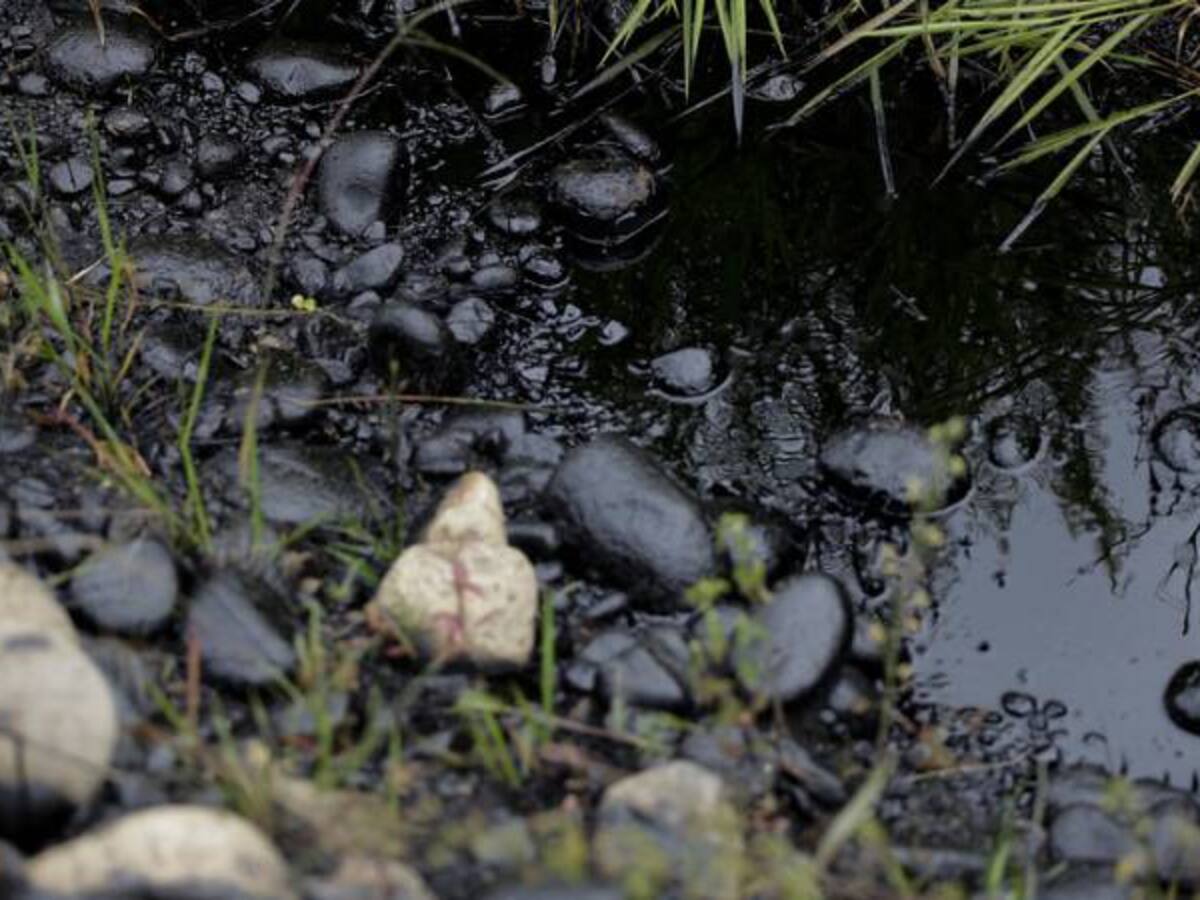 1.200 barriles de crudo se derramaron en costa fronteriza entre Ecuador y Colombia