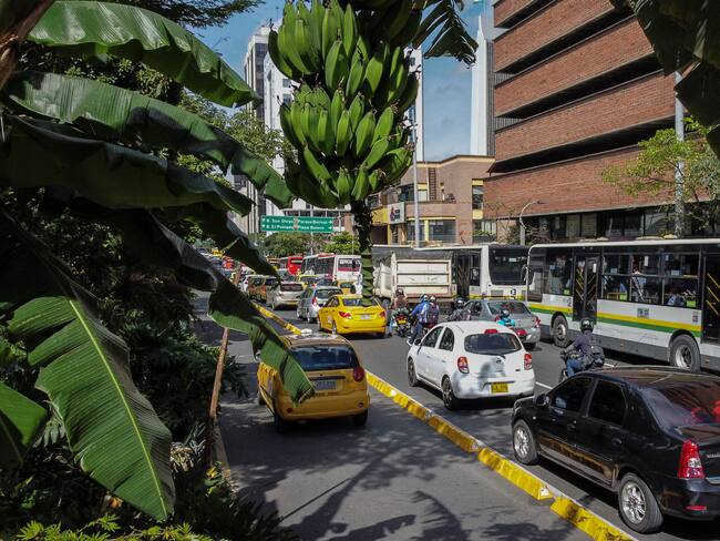 Automóviles pasan junto a un plátano verde en la Avenida Oriental en el centro de Medellín, Colombia. Vía Getty Images