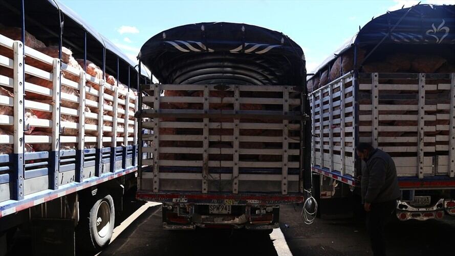 En los últimos días, el Ministerio de Transporte dio a conocer que se había logrado una hoja de ruta con las diferentes agremiaciones de transportadores. Foto: Colprensa / CAMILA DÍAZ