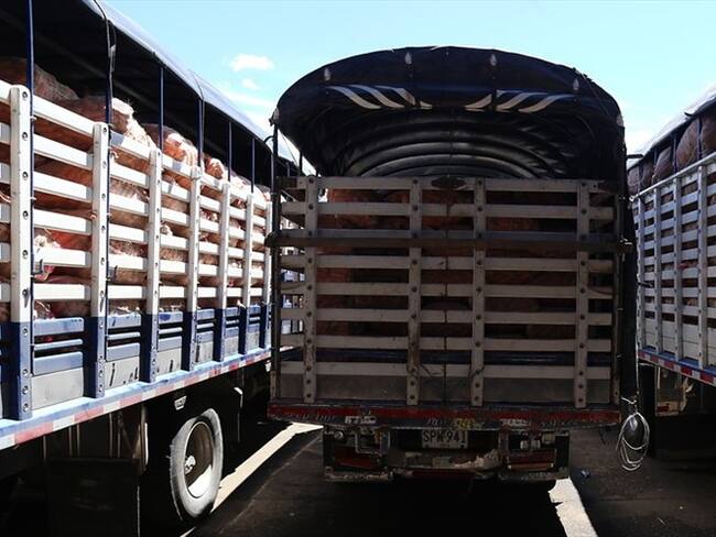 En los últimos días, el Ministerio de Transporte dio a conocer que se había logrado una hoja de ruta con las diferentes agremiaciones de transportadores. Foto: Colprensa / CAMILA DÍAZ