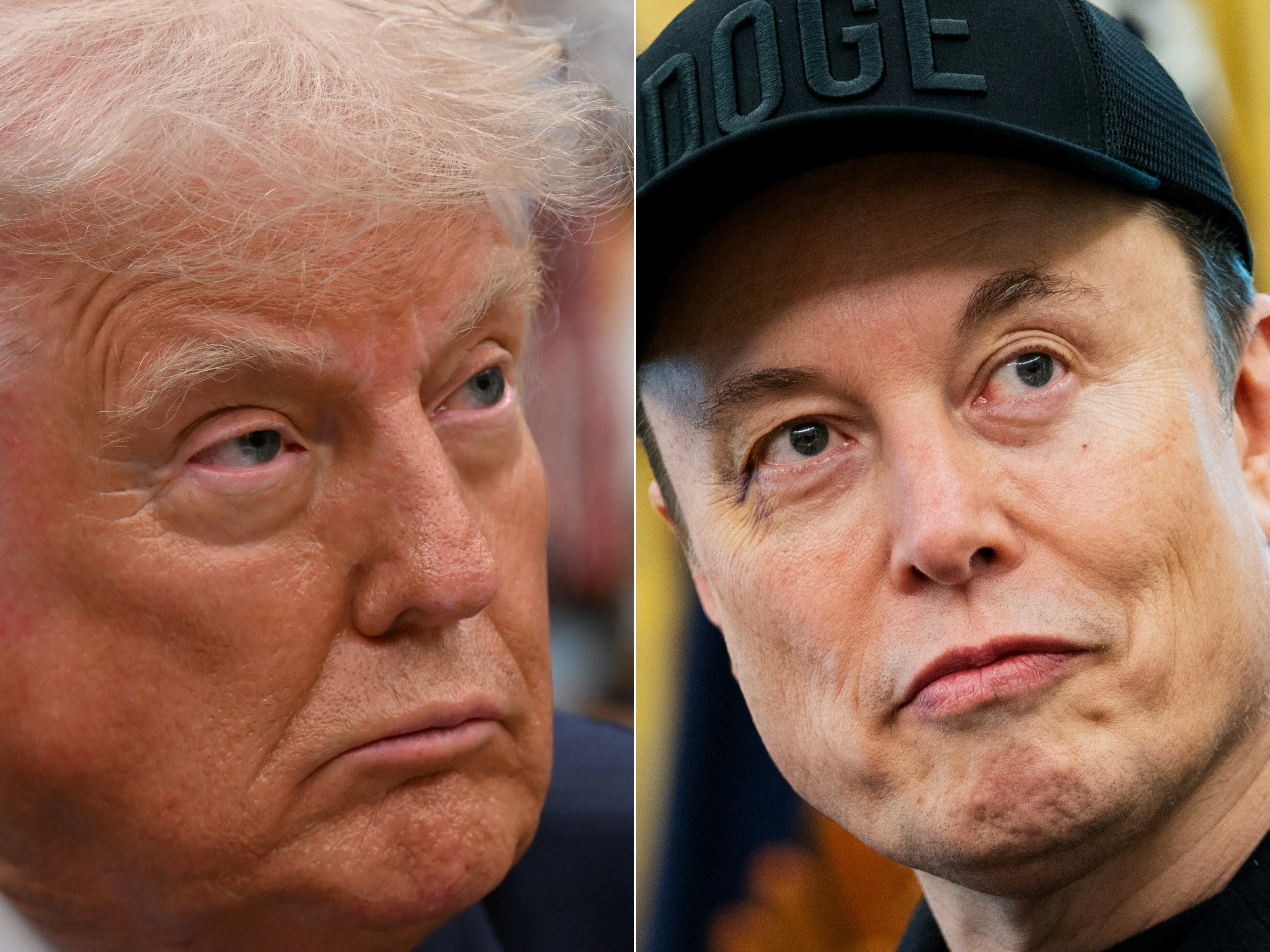 Donald Trump y Elon Musk. Foto: ALEX WROBLEWSKI, ALLISON ROBBERT/AFP via Getty Images.          
