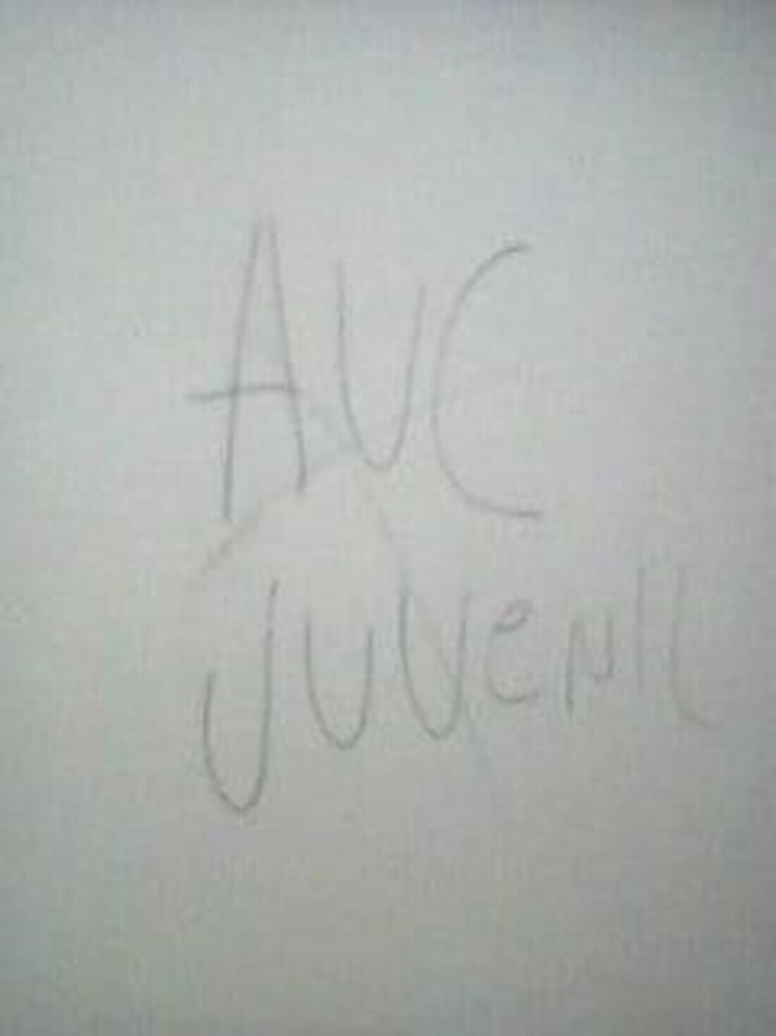 Pintas de AUC en Risaralda / Foto: Suministrada