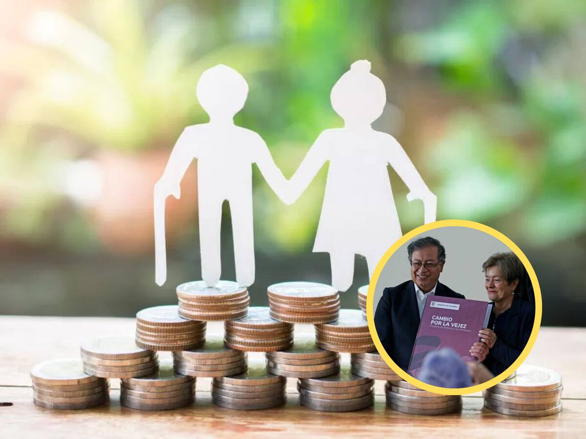 Personas que podrían heredar la pensión en el fondo público: ¿cambiaría con la reforma?