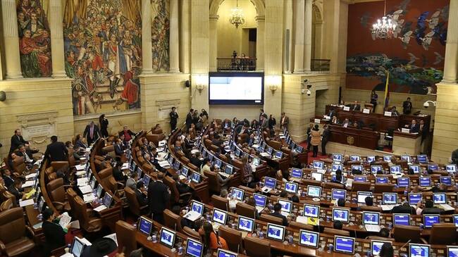 Avanza en el Congreso proyecto que crea la "prima para la canasta familiar". Foto: Colprensa