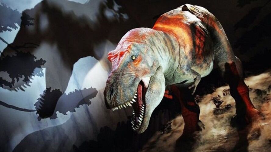 Feroz, pero también tierno.. Foto: BBC Mundo