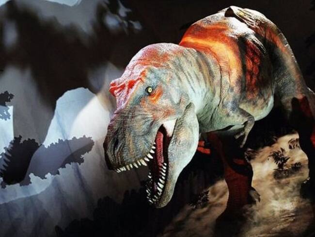 Feroz, pero también tierno.. Foto: BBC Mundo