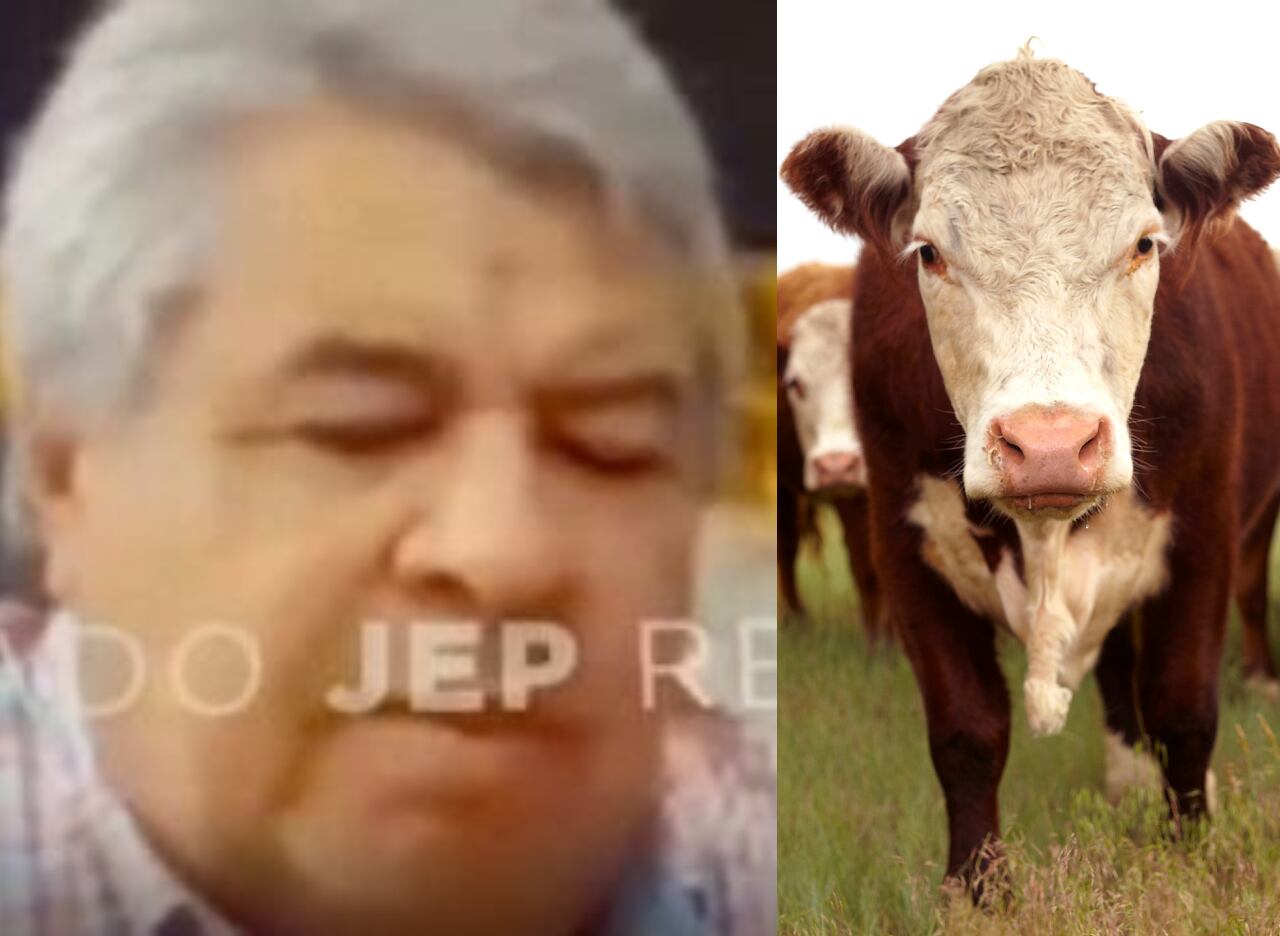 Benito Osorio y ganado. Foto: JEP / Getty Images