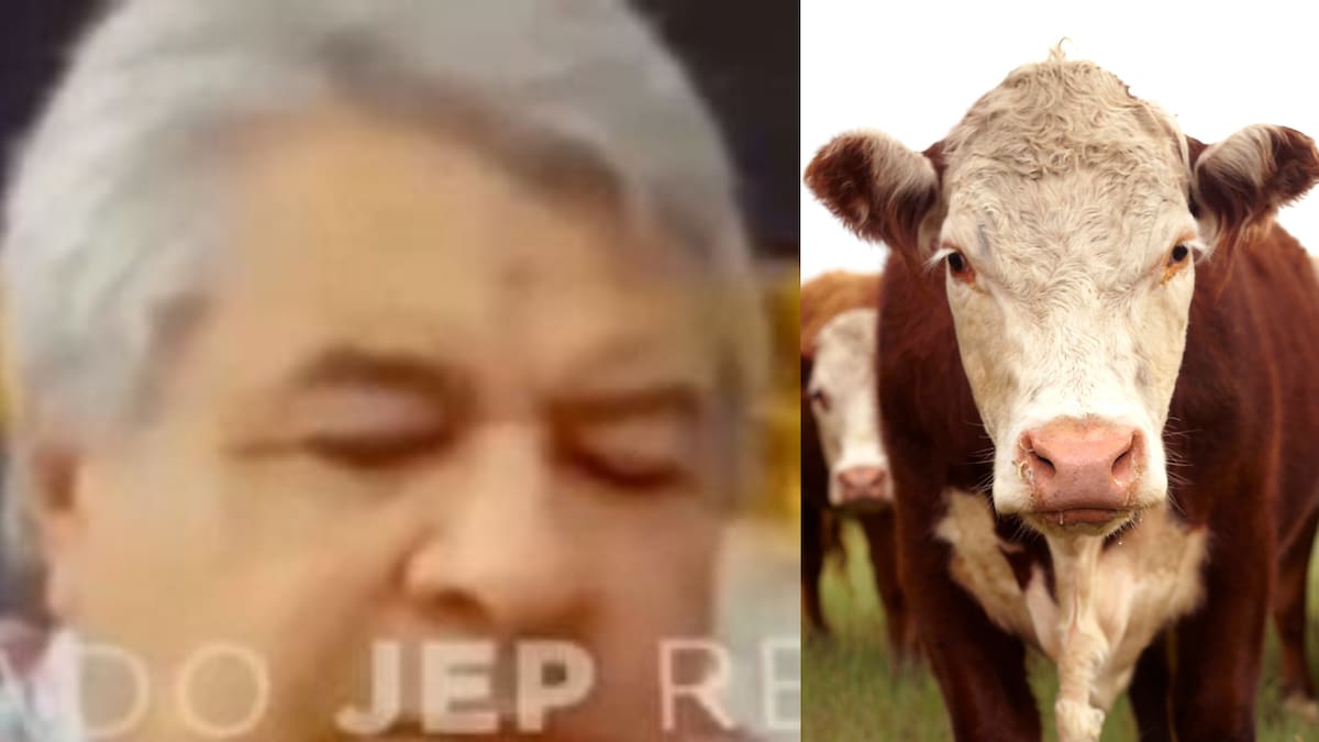 JEP cita a Benito Osorio y exdirectivos del Fondo Ganadero por despojo a campesinos